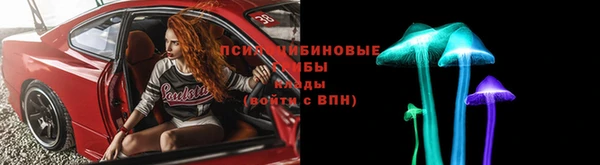 стафф Алексин