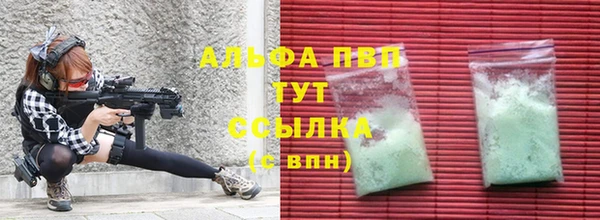 стафф Алексин
