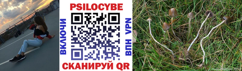 Псилоцибиновые грибы Psilocybine cubensis  Зубцов 